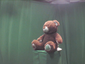 45 Degrees _ Picture 9 _ Brown and Green Teddy Bear.png